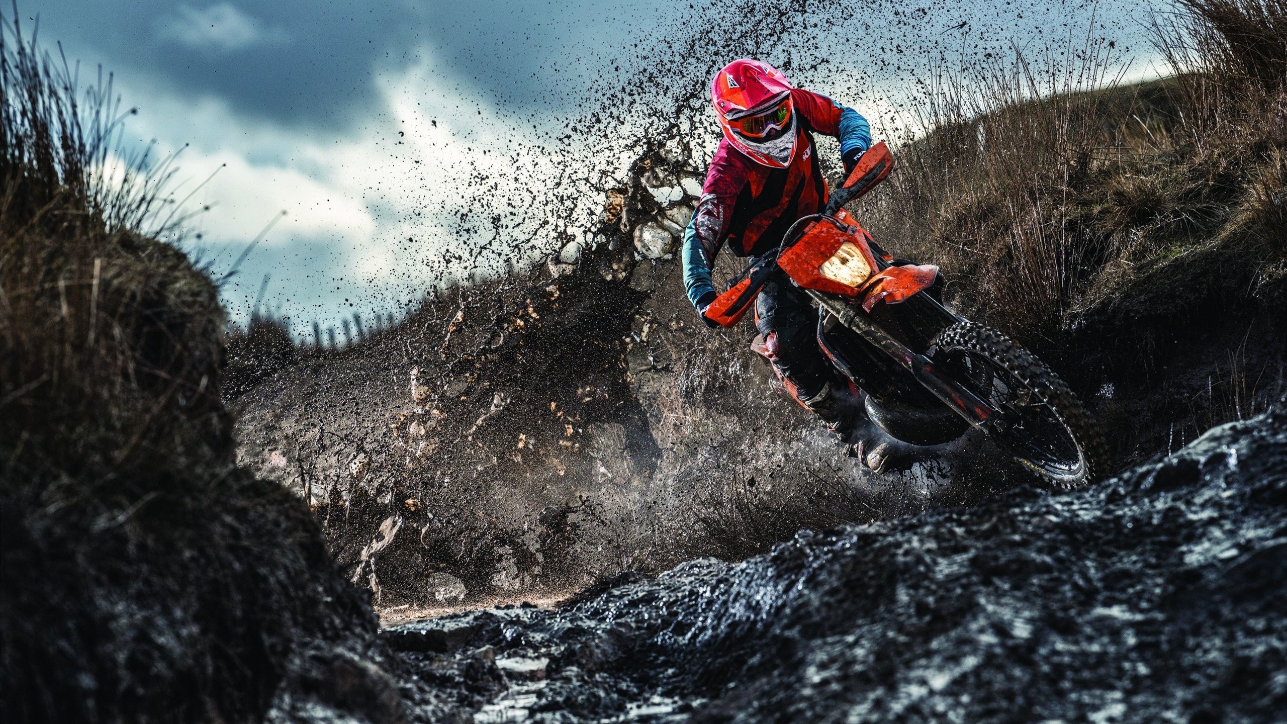 《星际争霸2》赛事对游戏文化的传承：经典IP与新时代的融合，星际争霸2大型赛事